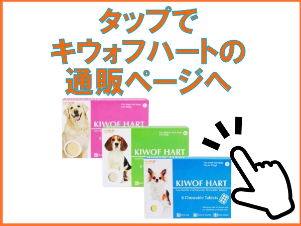 キウォフハート通販ページ