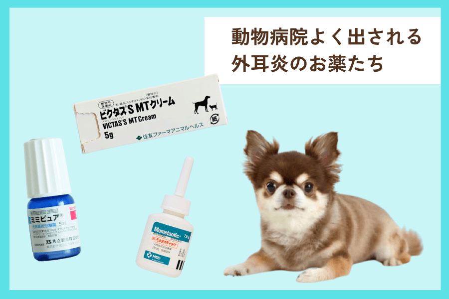 動物病院で処方される外耳炎の治療薬