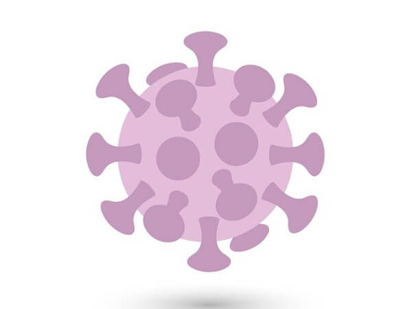 猫のマラセチアとは?