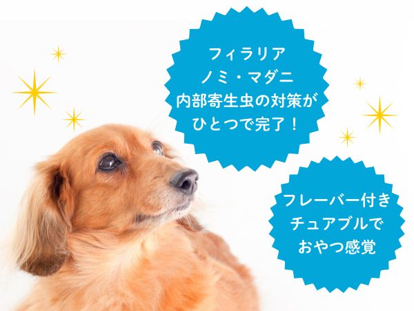 オールインワンタイプが選ばれる理由