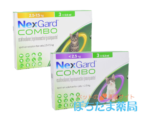 ネクスガードキャットコンボ