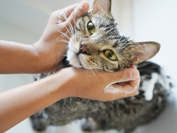 スポットタイプはシャンプーしたら効果が薄れる？