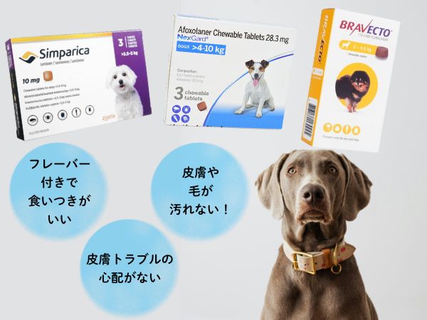 食べるタイプが選ばれる理由