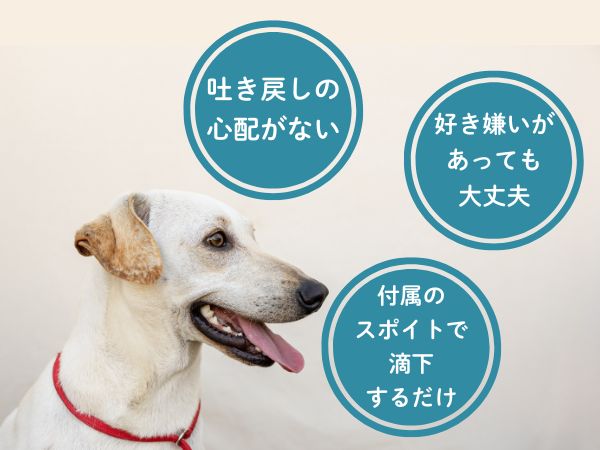 スポットタイプが選ばれる理由