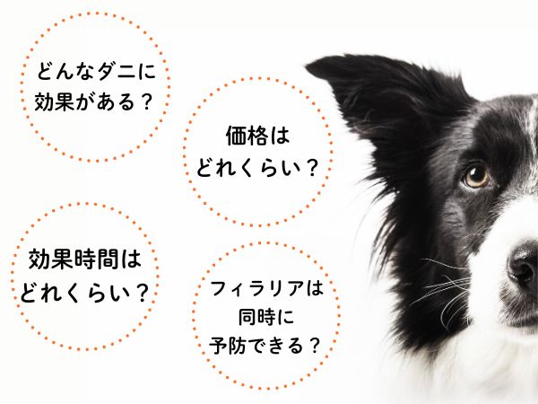 スポットタイプが選ばれる理由