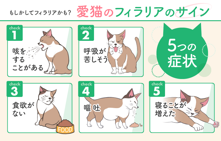 猫ちゃんもフィラリア予防が必要！