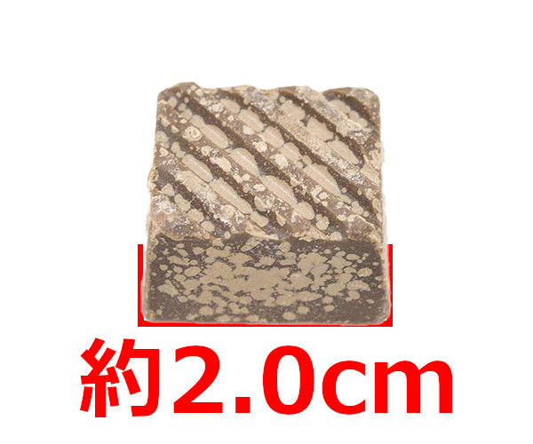 ストロングハート中型犬用の錠剤