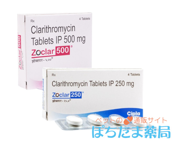 ゾクラー&nbsp;250mg&nbsp;4&nbsp;錠