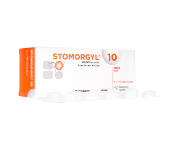 ストモルジール