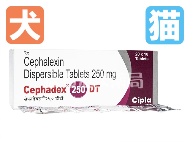 ケフレックスジェネリック