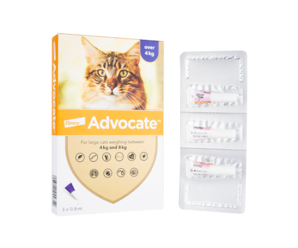 アドボケート【猫用】