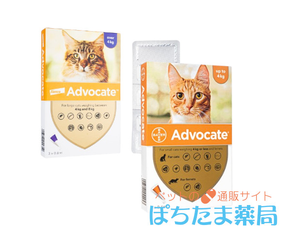 アドボケート【猫用】