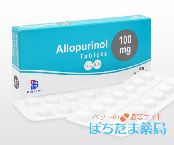 ザイロリックジェネリック&nbsp;100mg&nbsp;28&nbsp;錠