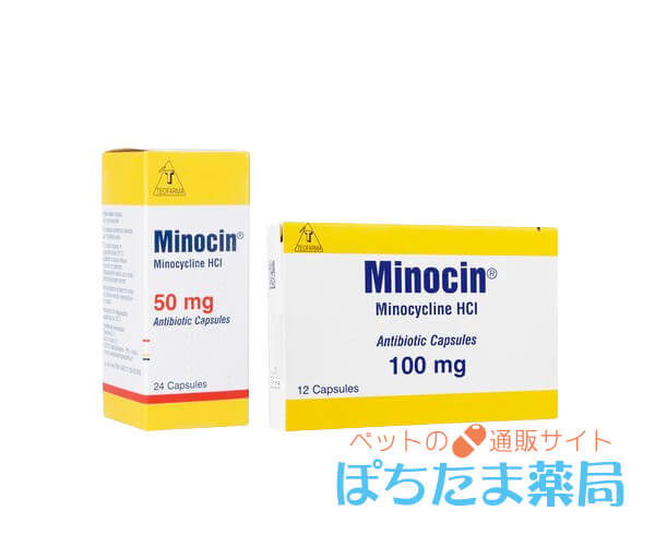 ミノサイクリン錠（ミノシン）&nbsp;50mg&nbsp;24&nbsp;錠