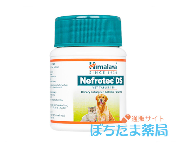 ネフロテックDS