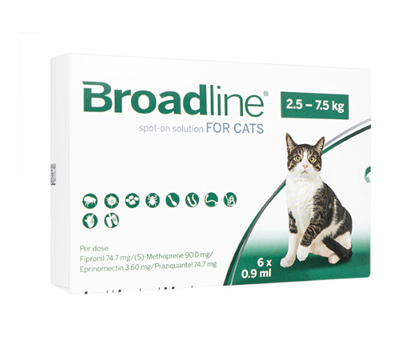 ブロードライン