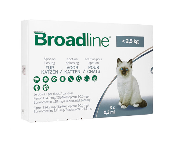 ブロードライン