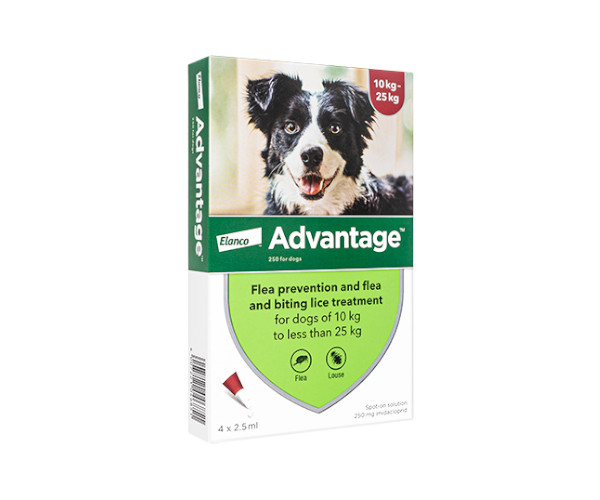 アドバンテージ・スポット【犬用】