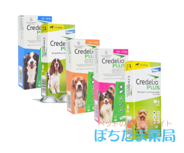 【送料無料】クレデリオプラス