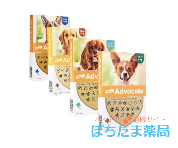 アドボケート【犬用】&nbsp;小型犬用（4kg未満）&nbsp;3&nbsp;本