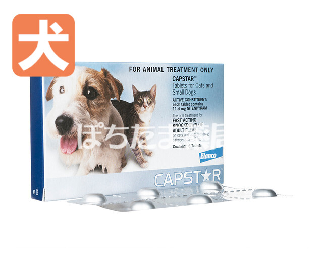 キャプスター錠【犬用】