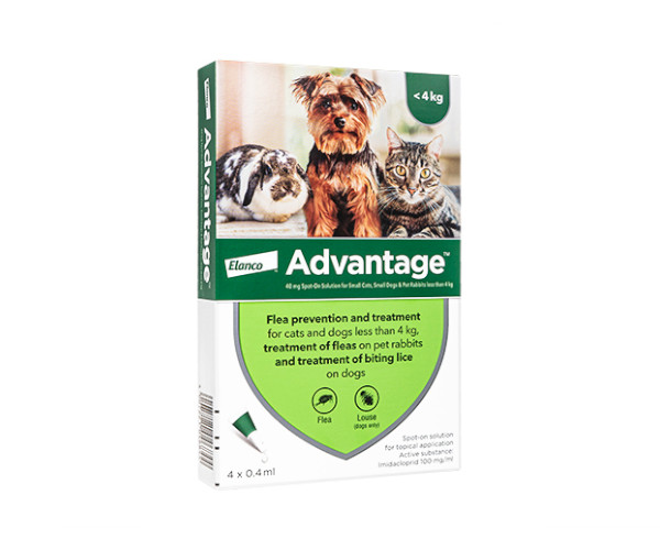 アドバンテージ・スポット【猫・うさぎ】