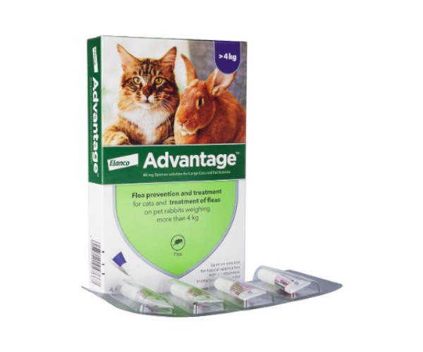 アドバンテージ・スポット【猫・うさぎ】