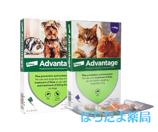 アドバンテージ・スポット【猫・うさぎ】