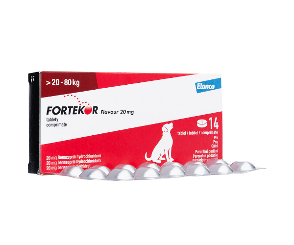 フォルテコール