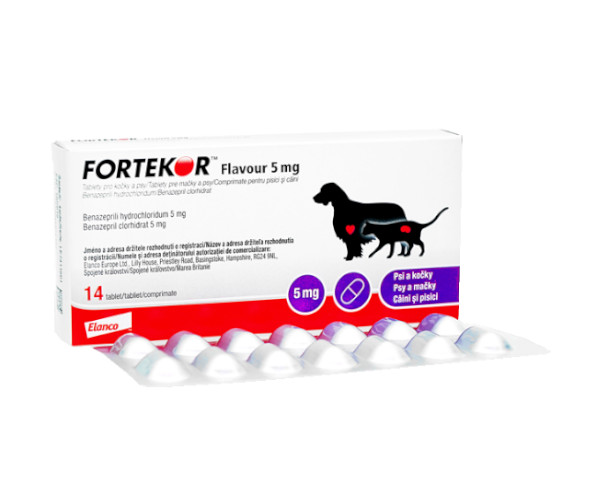 フォルテコール