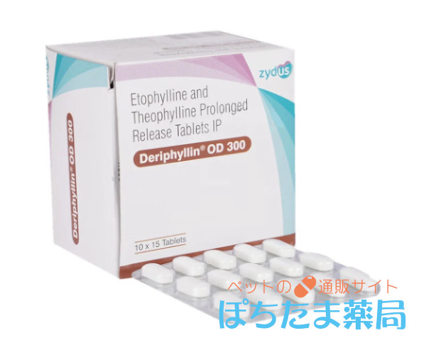テオフィリン（テオドールジェネリック）