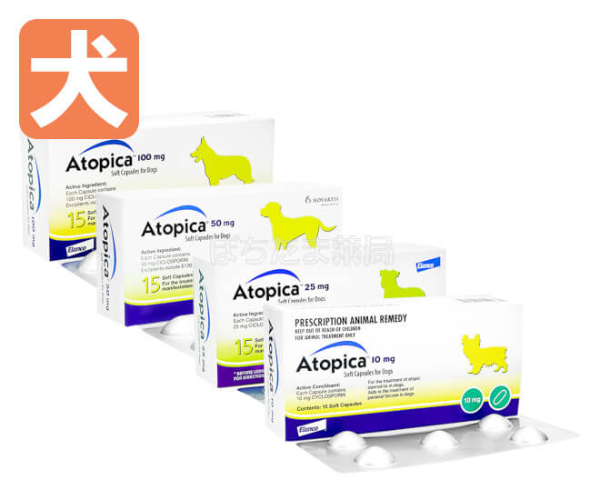アトピカ犬用