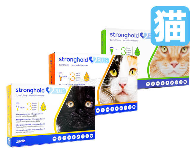 レボリューションプラス（ストロングホールドプラス）