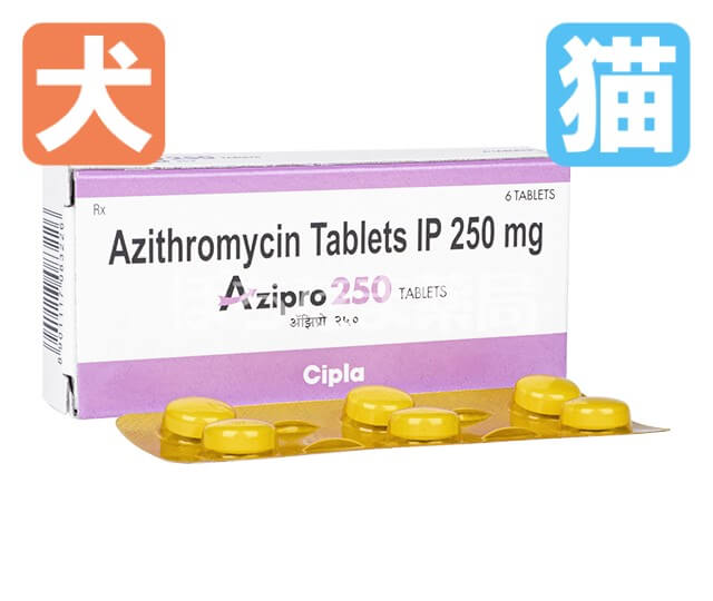 ジスロマックジェネリック