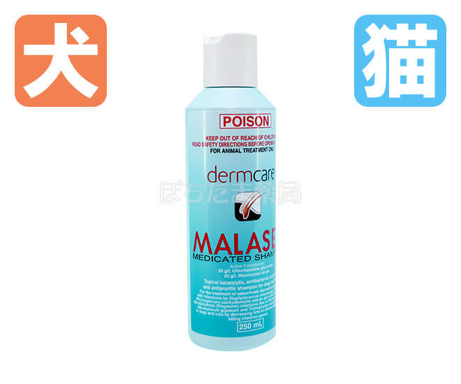 マラセブシャンプー