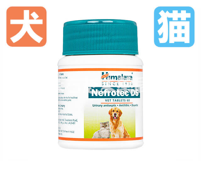 ネフロテックDS