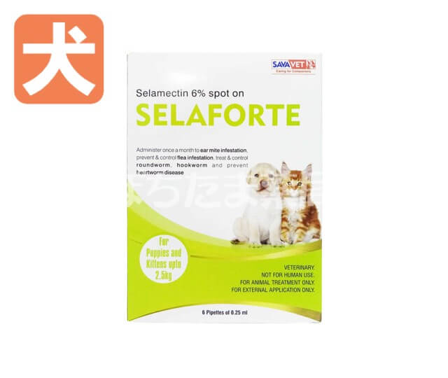 セラフォーテ【犬用】