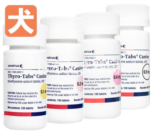 レボチロキシン（サイロタブケイナイン）【犬用】&nbsp;0.2mg&nbsp;120&nbsp;錠