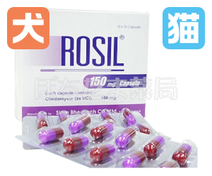 ダラシンジェネリック