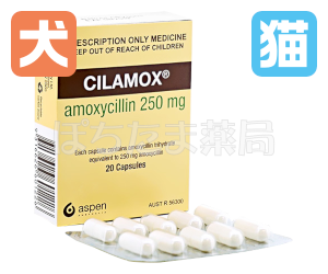 パセトシンジェネリック